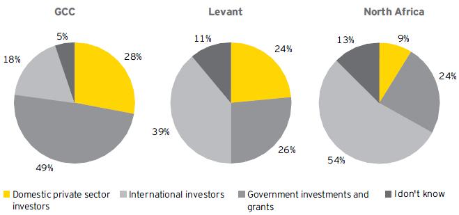Equity investments in clean technologies What will be the most important source of equity investment for cleantech in the three MENA Areas over the next three years?