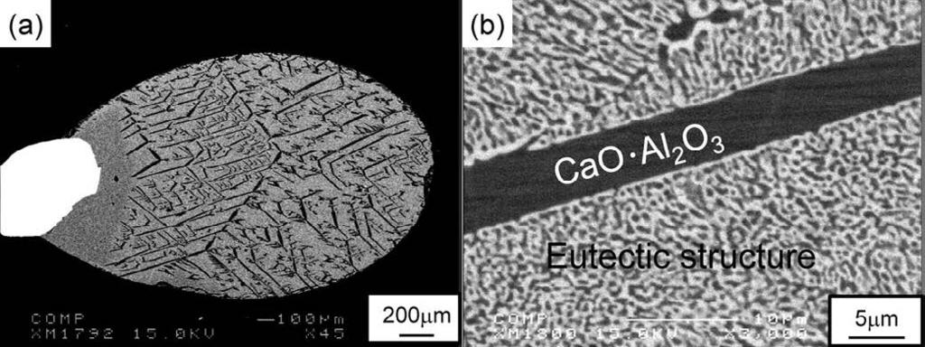 Fig. 11. SEM images of CA EU under Ar Ti at 1 300 C. Fig. 10. Comparison of XRD patterns of crystalized phases (CA+C3A) and amorphous phase under Ar.