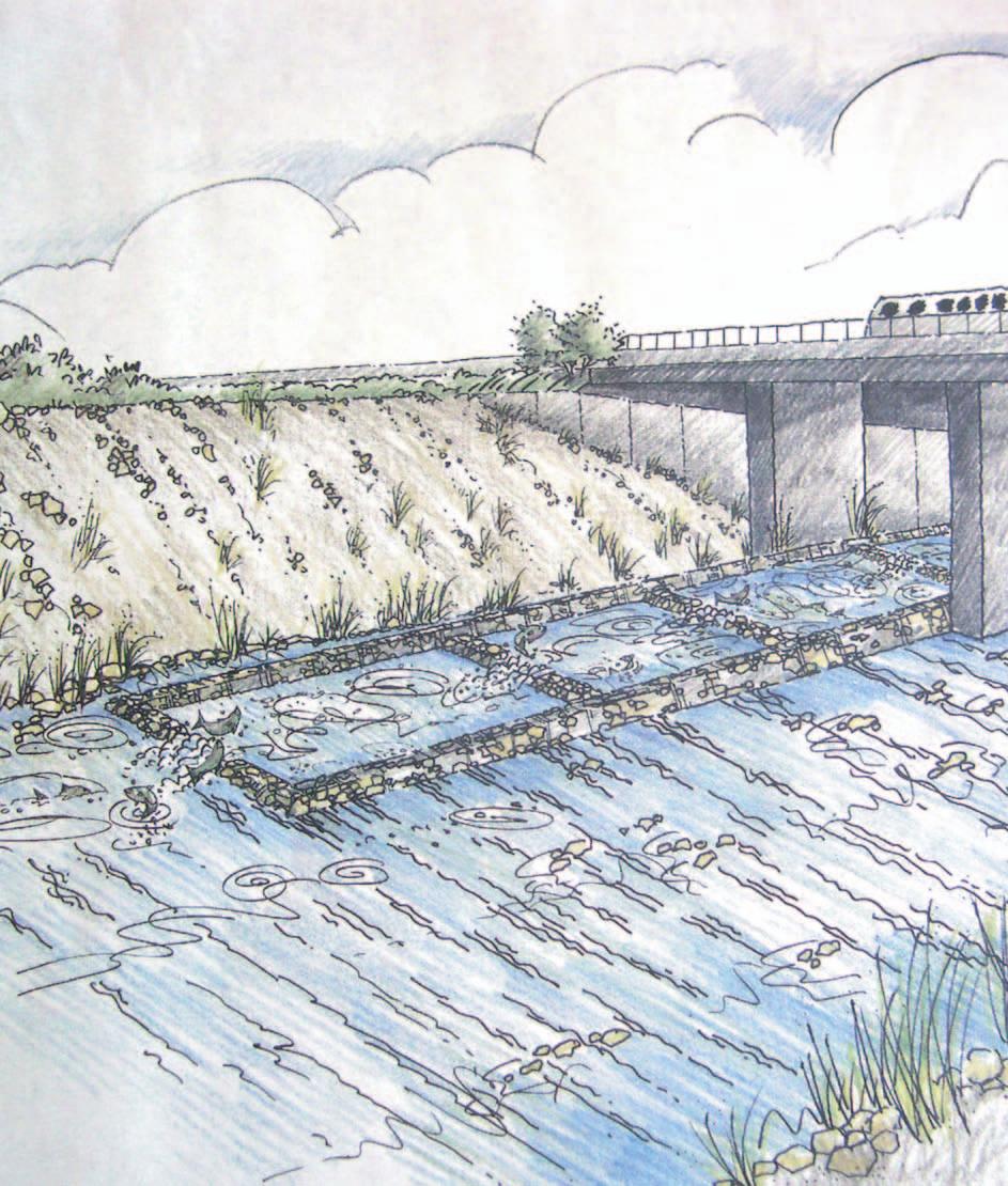 Conceptual Design and Feasibility of a Natural Fishway at the Fremont BART Weir, Alameda Creek, California Final Report September 2005 Prepared by Center for Ecosystem Management and