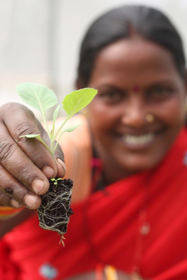 Greening Rural Development in India UNDP s report shows that greening the Government s rural development schemes will have positive economic impact because greening will: contribute to inclusive