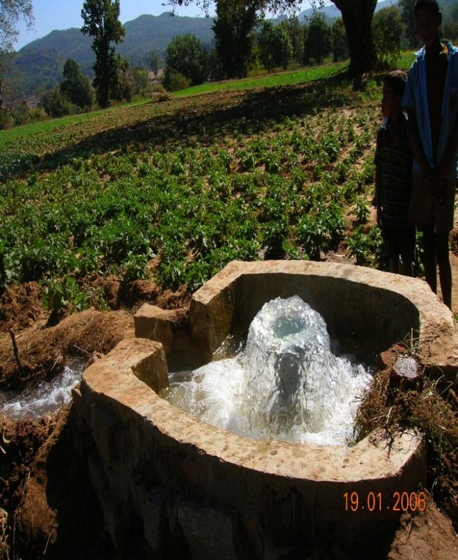 Greening rural development will improve environmental sustainability in three ways by: conserving water quality and quantity through increased water use efficiency in agriculture, construction and