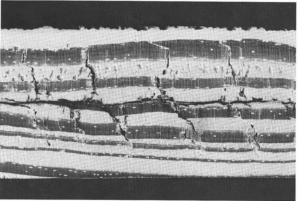 Figure 1.--End view of 1/2-inch, rotary- cut and hot- glued southern pine showing deformation that occurred in pressing, resulting in a better mating of the two surfaces.