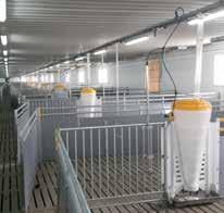 Feeding system can be single line, double line, phase feeding or multi phase feeding for those who really want to optimize feeding strategy.