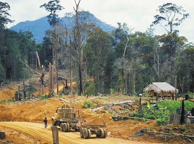 Breaking the water cycle Deforestation breaks the water cycle