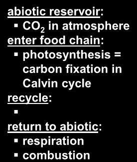 Bicarbonates Photosynthesis Animals Plants and algae Deposition of dead