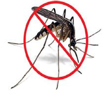 Use Precautions to Ward off Mosquitos If you are concerned with mosquitos and all the possible diseases that they could transmit, consider the following tips to limit your exposure.