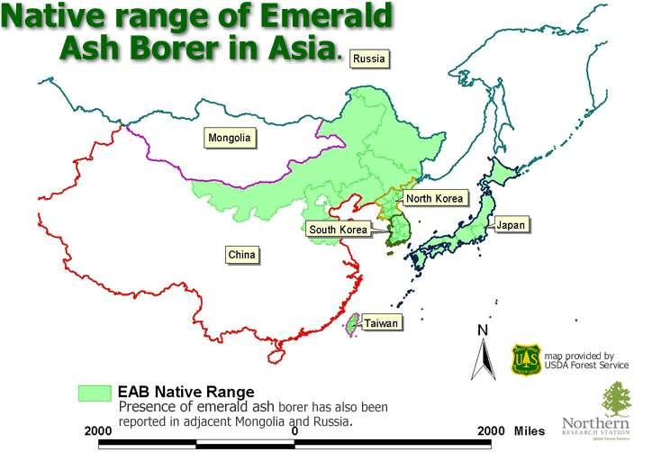 Native Range of EAB EAB is a destructive