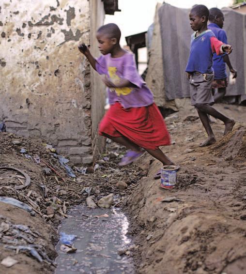 The sanitation problem: What can