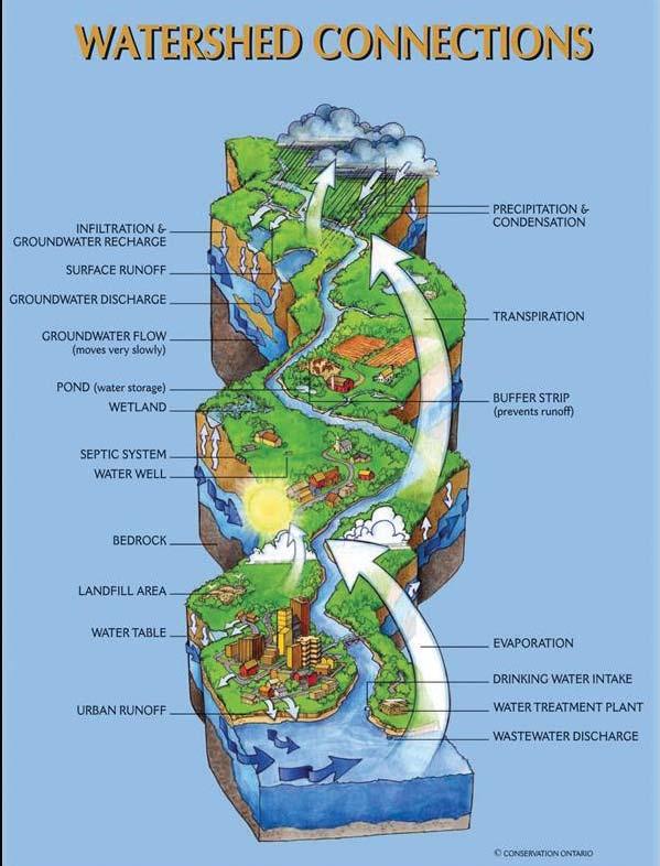 Readers should take note that some of these policies reference other sections in such as the water resource policies (sub-section.3.1.1), stormwater management infrastructure policies (sub-section.5.