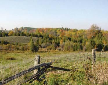 Policies for Environmental Planning maintaining, and where possible, improving or restoring the ecological integrity of the Oak Ridges Moraine.