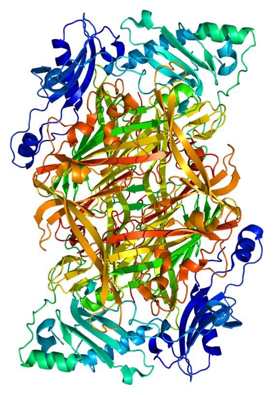 SSAO for NASH SSAO inhibitor PXS4728A sold to Boehringer Ingelheim in May 2015 Mechanism based inhibitor of SSAO Small molecule inhibitor of SSAO (VAP 1) Important inflammatory pathway in several