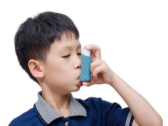 Specific molds associated with asthma an 80% likelihood of finding an asthmatic child in a home