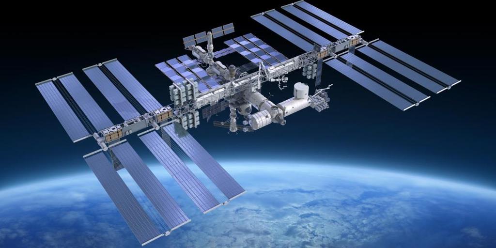 Mold species in dust from the International Space Station identified and quantified by mold-specific quantitative PCR Dust from HEPA filters in the U.S. Laboratory Module of the International Space Station (ISS).