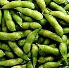 Green Lubricants Vegetable Seed Oils