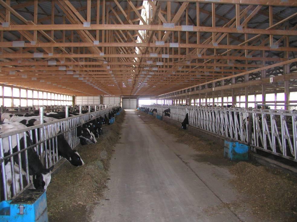 Total Cost to Raise a Dairy Replacement from Birth to Freshening* 1999 2007 2013 Total Cost $1259.38 $1648.77 $2226.88 $3.20/day Days on Feed 743 709 696 Calving Age (months) 24.6 23.9 23.