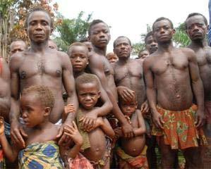 Forests and cultures Historically, Pygmees (natives) lived in and off of the forest, hunting animals for food and using nontimber forest products such as honey.