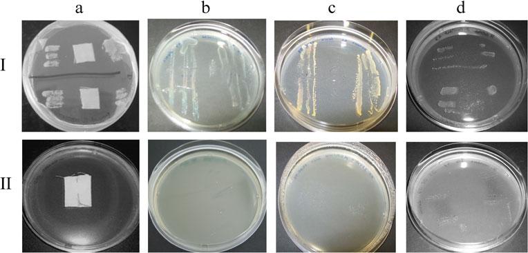 496 Ann Microbiol (2011) 61:493 498 Fig. 2 Images of samples analysed with AATCC 147 (I) and JIS L 1902 Halo method (II) after fabric removal. The assays were performed using S. aureus.