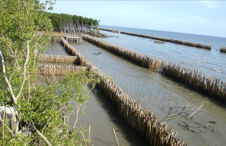Coastal Erosion and Wave