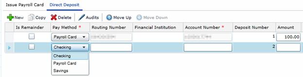 Here you can enter a specific amount in the Amount field to indicate the amount to disburse to the payroll card.