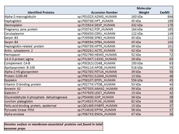 Figure 3. Top 25 surface and membrane-associated proteins captured using ExoMS Surface Protein Capture Kit from human serum EV sample.