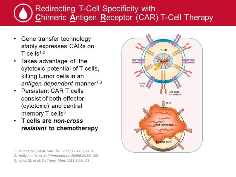 antigen receptor, we don t need an MHC on the target. We bypass that by having the business end of monoclonal antibody targeting the antigen on the outside of the cell.