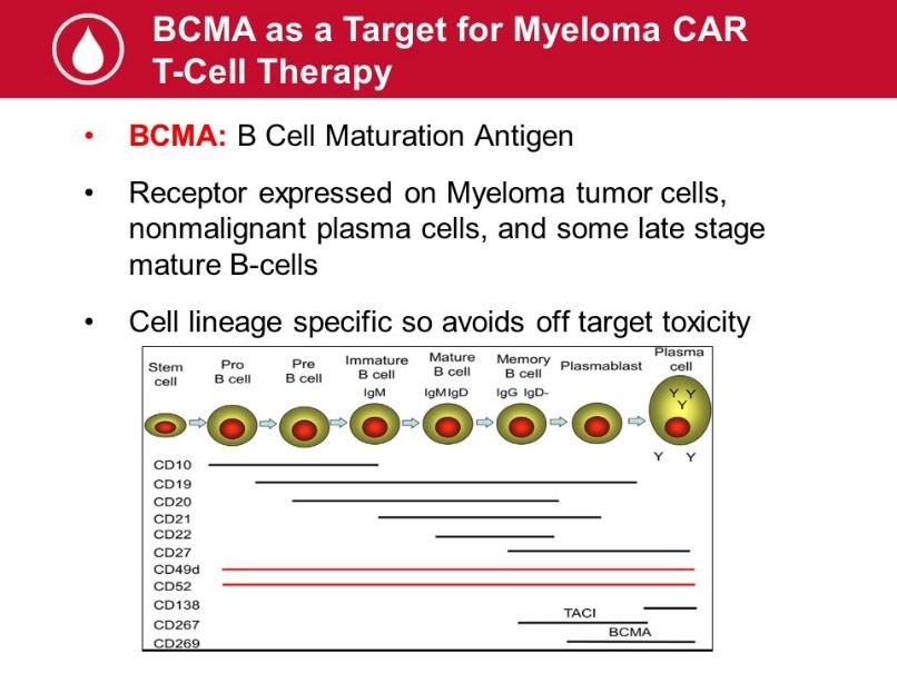 But in myeloma, the commercially available products for CAR T recognize CD19, which is not expressed on myeloma.