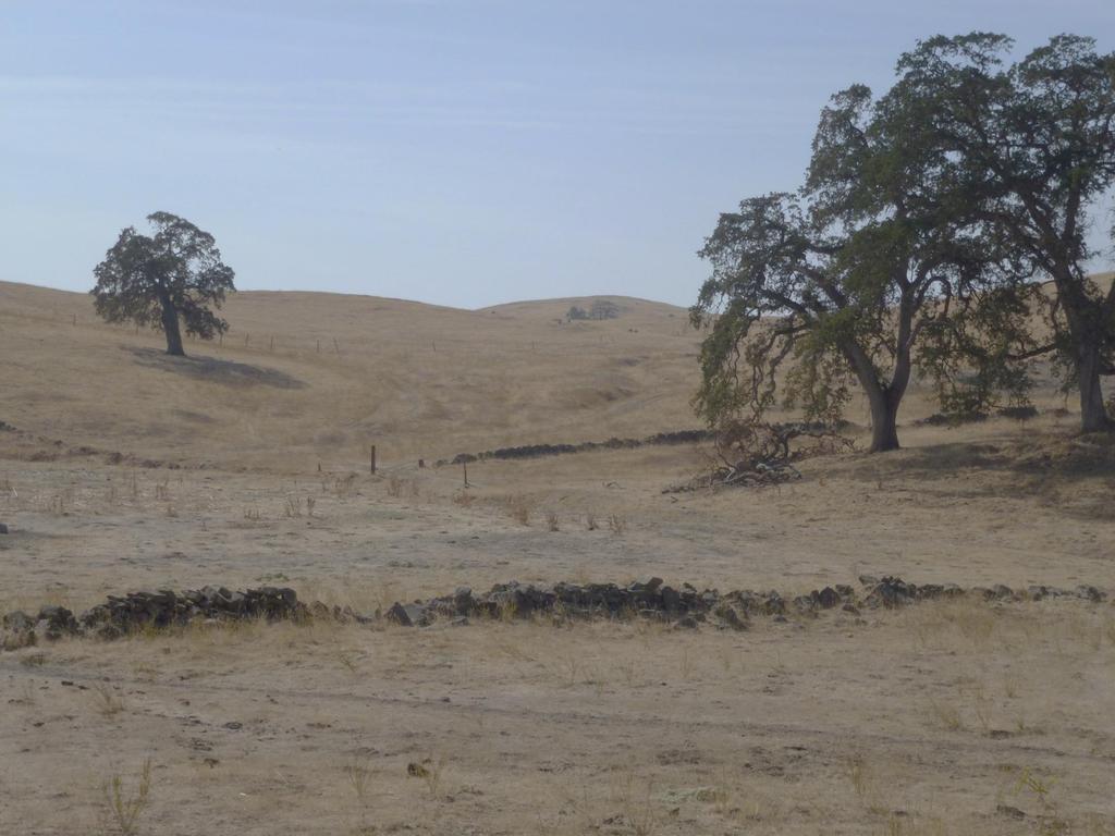 *Grazing Systems on California s