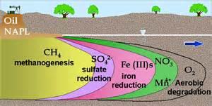 The Geochemistry of a PHC Spill Source area methanogenic Oxygen Depleted Electron Acceptor Depleted