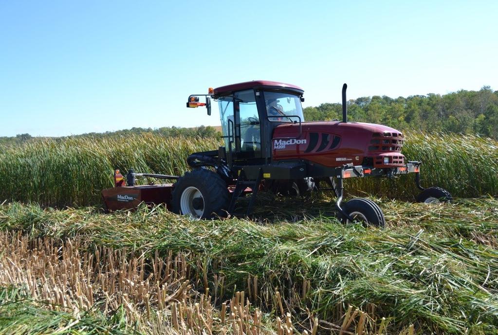 Cattail Harvesting 2013 MacDon windrower with 16