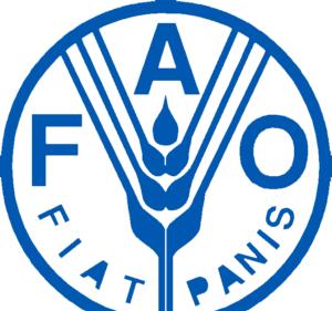 FAO and IFAD have worked with government ministries and national extension systems to