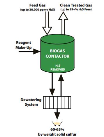 Biogas scrubber Remove H 2 S Bubble gas