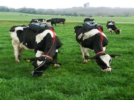 High performance comparison Carbon footprint of milk from