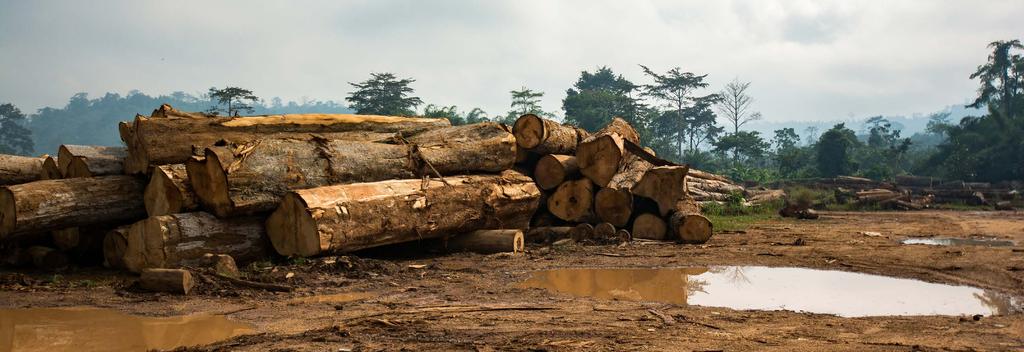 Briefing Achieving zero-deforestation commitments Lessons from FLEGT Voluntary Partnership Agreements Public and private-sector zero-deforestation initiatives must address forest and land-use
