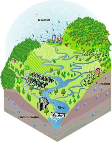 Watersheds vs drainage basins The term watershed has a much broader meaning than drainage basin Drainage basin refers to the topography that drains
