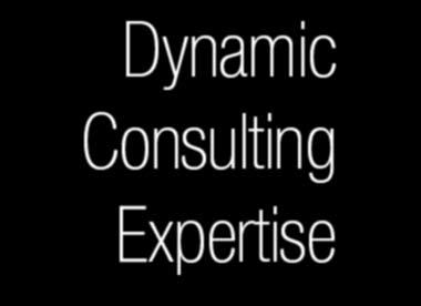 advantages Dynamic consulting systems Since 1972 GOOD CHEMISTRY You re in good