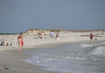 Project Background Project Background Dauphin Island is a strategically significant barrier island Over 200