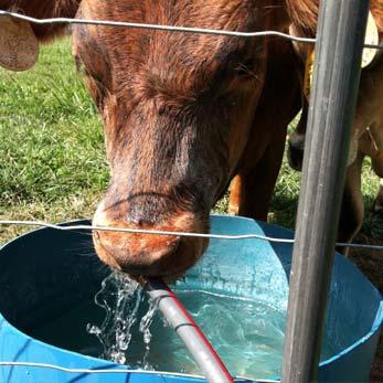 Livestock Watering Systems Mark Green Lead Resource Conservationist USDA-NRCS Springfield, MO Water is generally the MOST Limiting Factor in Grazing Distribution and Maintaining Flexibility of a