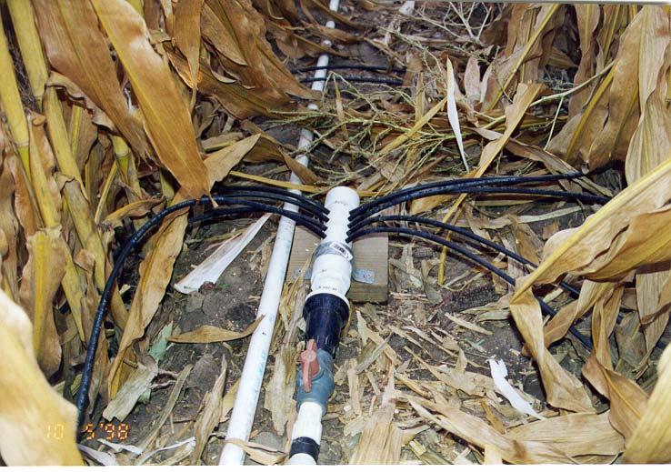 Figure. Flow divider with tubes used to deliver irrigation water to individual furrow basins.