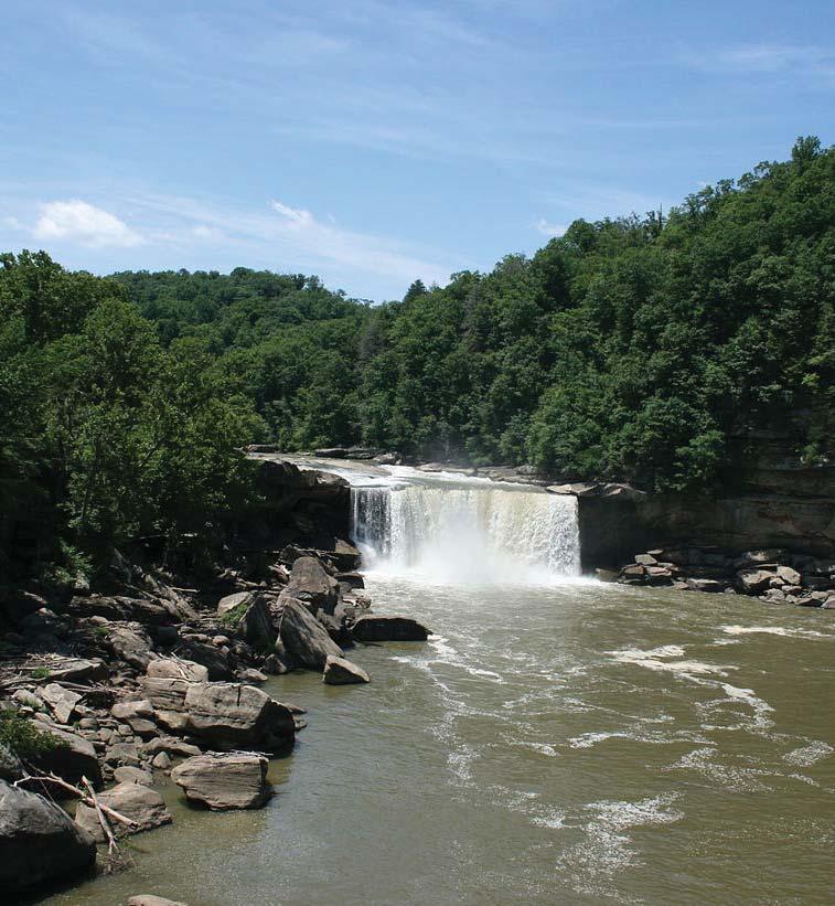 United States Department of Agriculture Christopher M. Oswalt Forest Inventory & Analysis Factsheet Cumberland Falls. (photo by Chris Kuehl, Wikimedia.