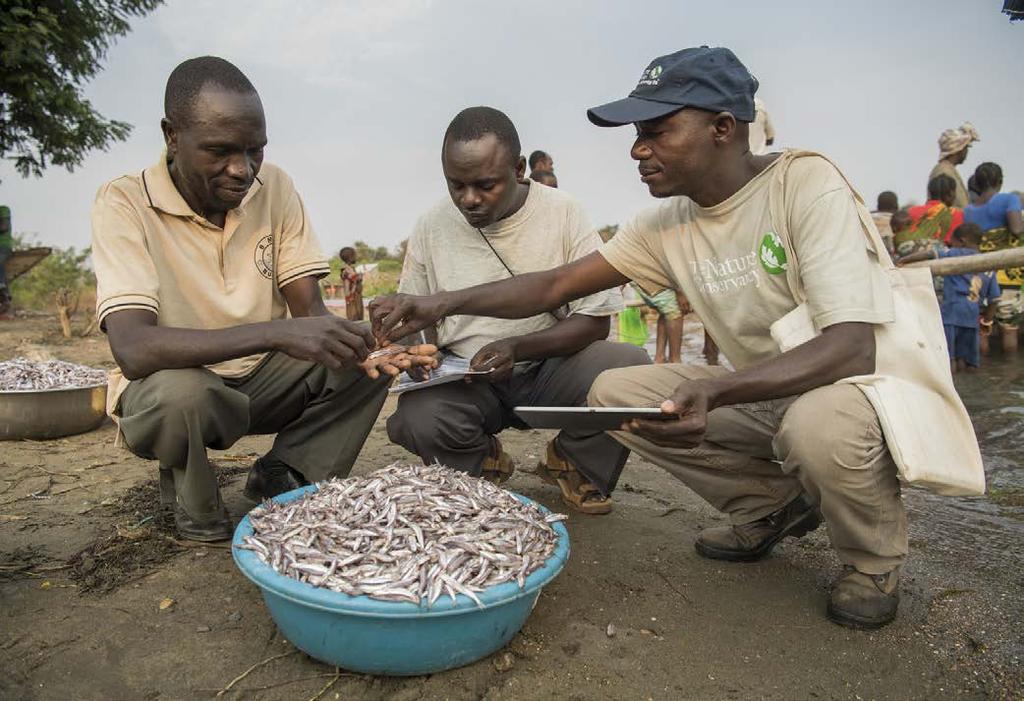 Goals of WASH - Environment Strengthen fisheries management and improve governance through support to Beach Management Units Promote sustainable fisheries by reducing illegal fishing and