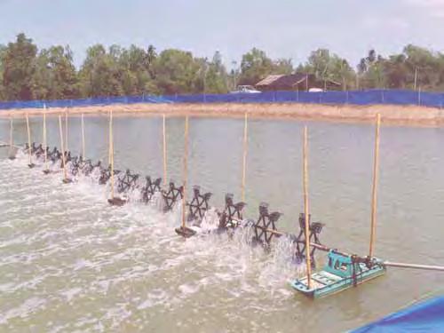 Conduct for Marine Aquaculture: the environmental