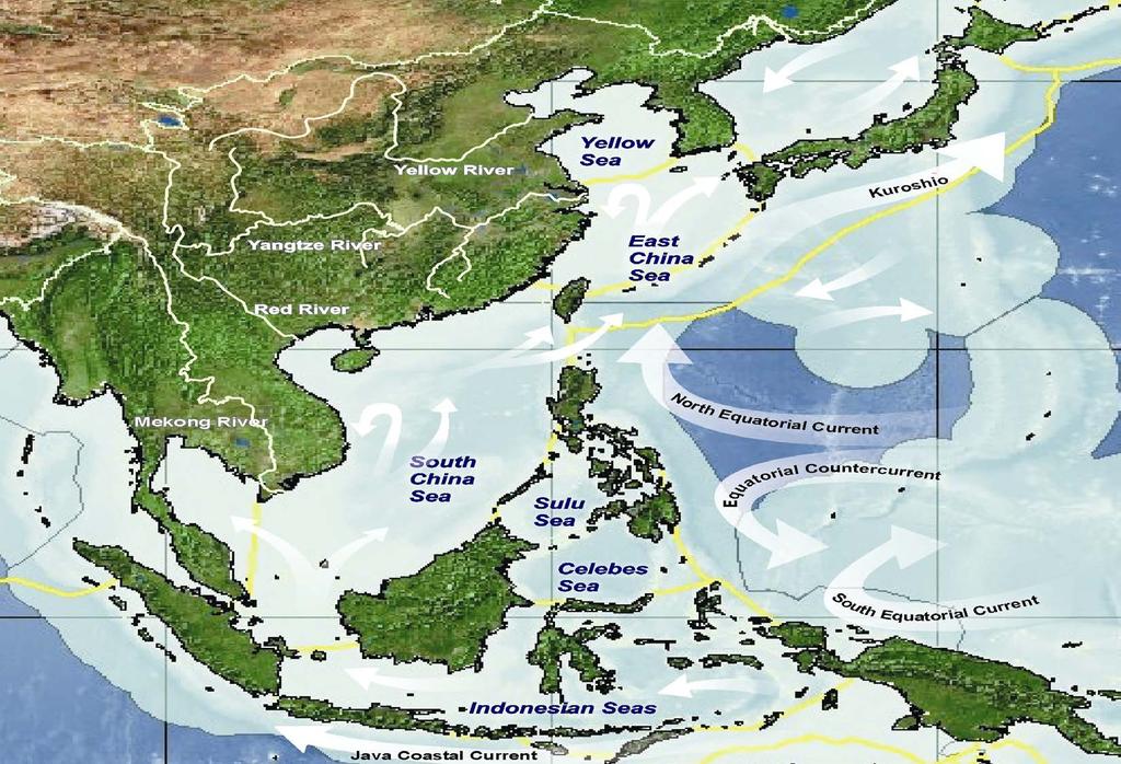 Marine Pollution Prevention and Management in the East Asian Seas (MPP-EAS) 1994-1999 11 countries US$ 8 million