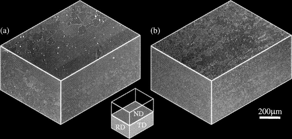 Fig. 5. Three dimensional microstructure observed in CRA specimens of type 409L(a) and type 430(b) steels. Fig. 6.