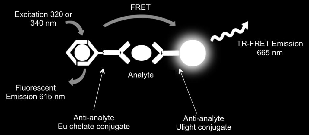 Time-Resolved Fluorescence and TR-FRET Improve the sensitivity and dynamic range of your immunoassays, even when sample is at a premium or in low concentration.