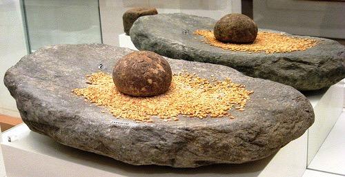 Sophisticated Stone Tools Tools and the methods for making them got better in the Neolithic era.