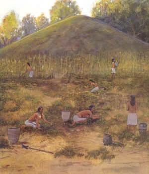 Agricultural Revolution This was a time when humans largely shifted away from living as roaming hunter-gatherers.