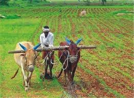 Key Term Agriculture- The practice of