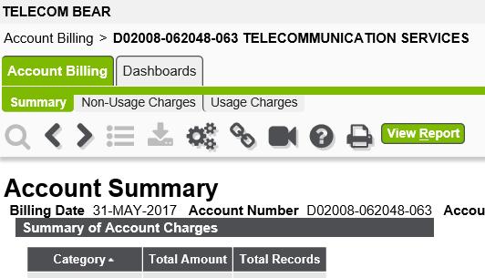 Summary subtab displays grand totals of all charges incurred