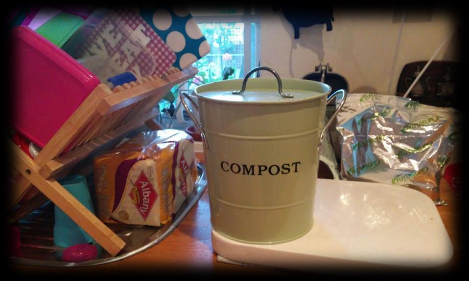 WHERE DOES COMPOSTING AND ORGANICS RE-USE FIT IN?