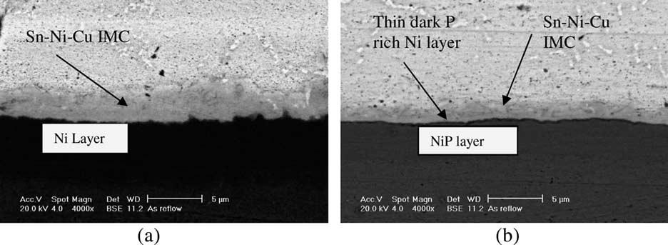 751 kgf for electroless NiP layer after 180 min. In the electrolytic Ni ball shear strength does not decrease or increase significantly with the increasing of molten time. Fig.